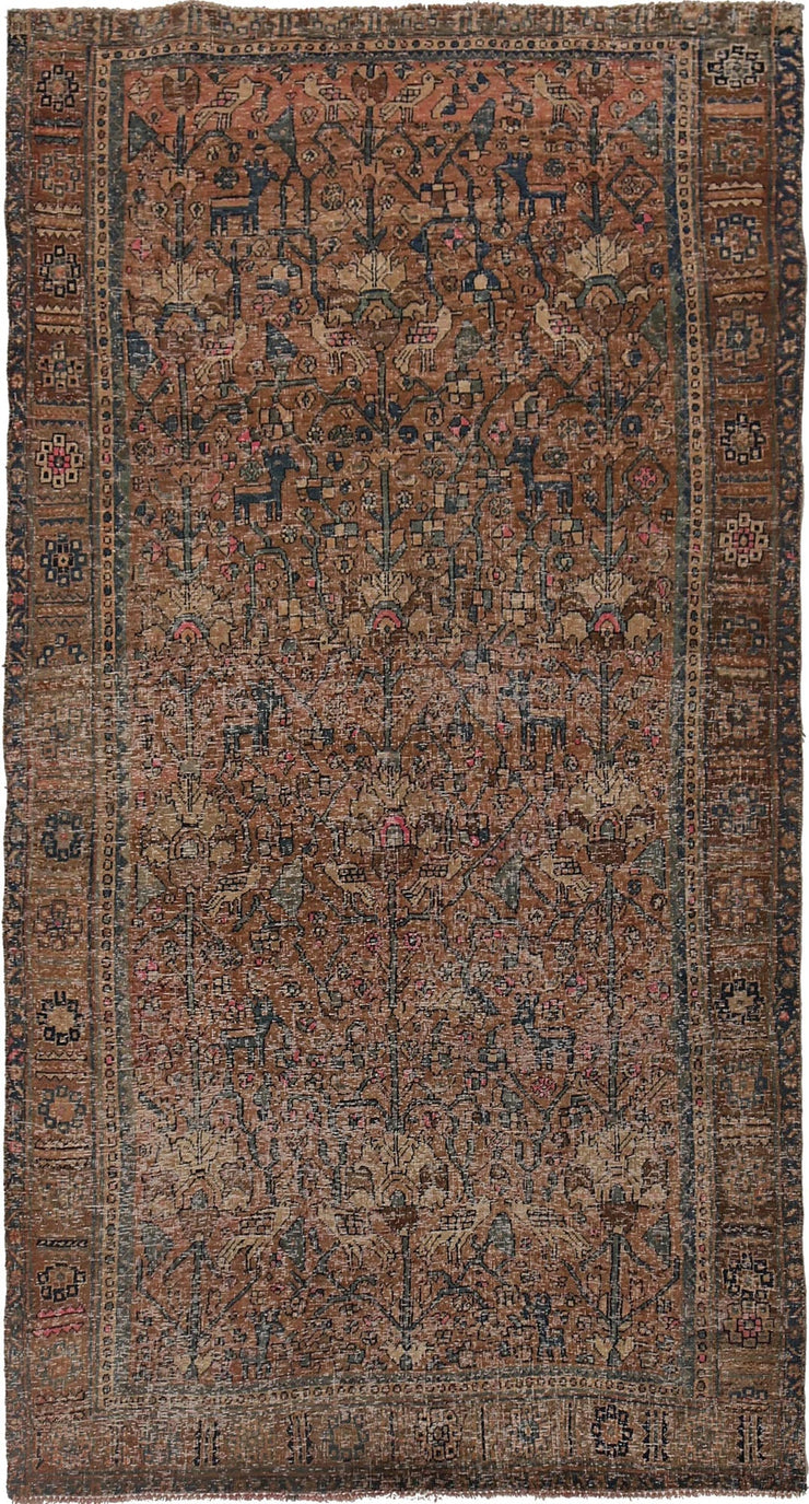 5' x 9' Sherazi Area Rug