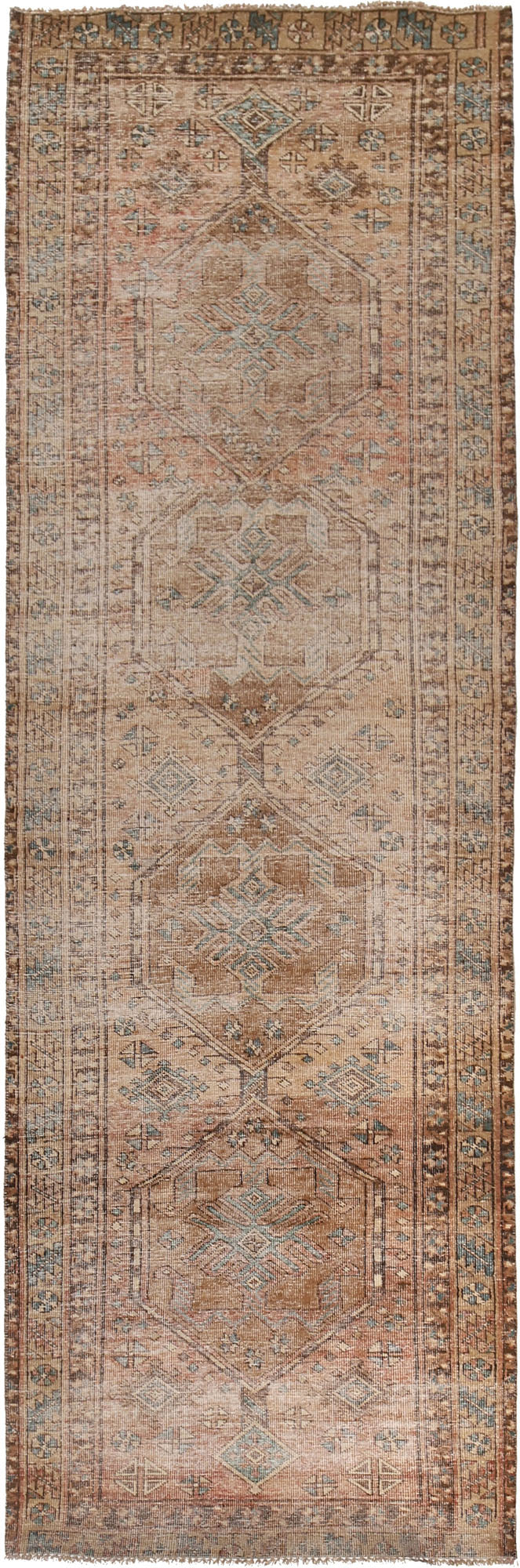 3' x 10' Traditional Sherazi Runner Rug