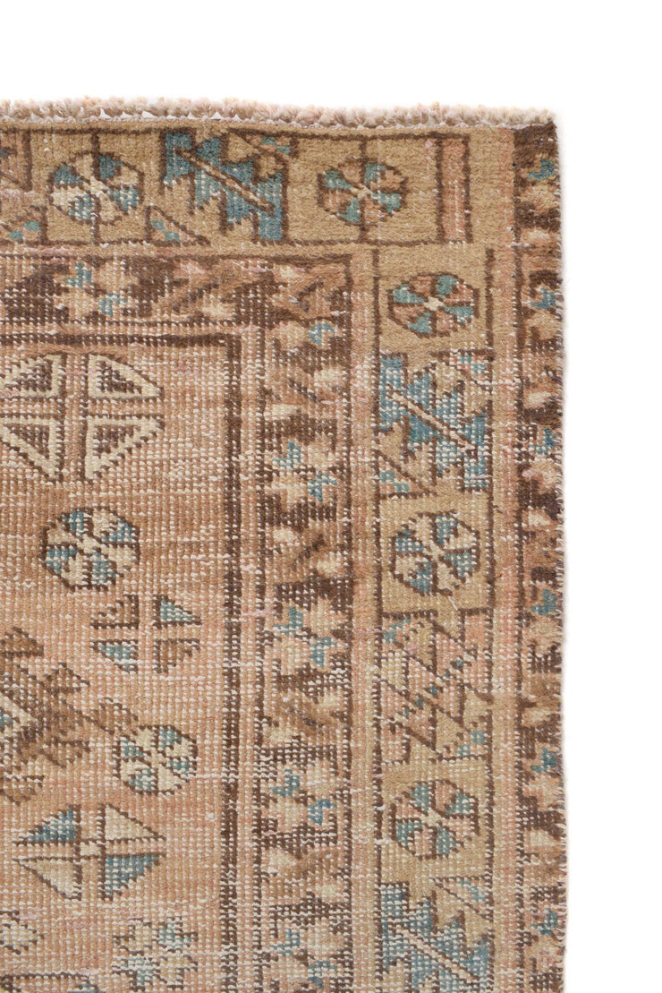 3' x 10' Traditional Sherazi Runner Rug