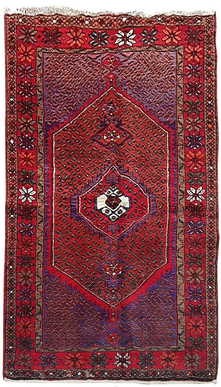 4x8 Authentic Hand Knotted Persian Hamadan Rug - Iran - bestrugplace