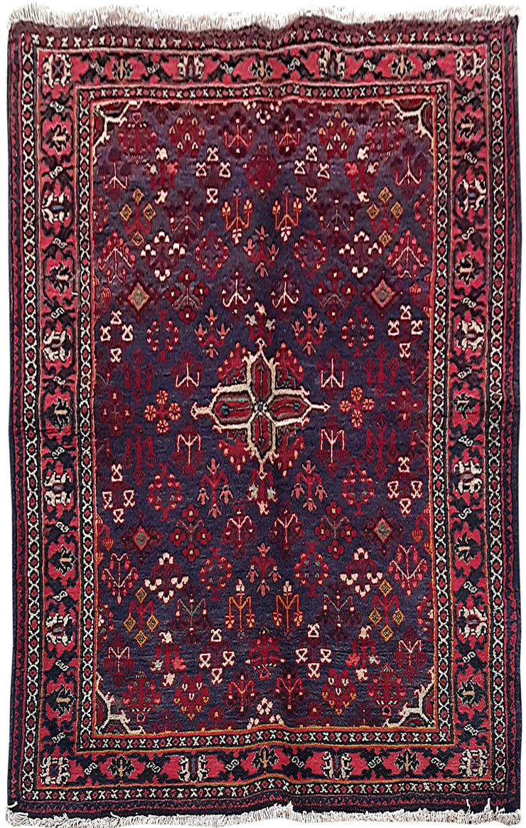 4x7 Authentic Hand Knotted Persian Hamadan Rug - Iran - bestrugplace