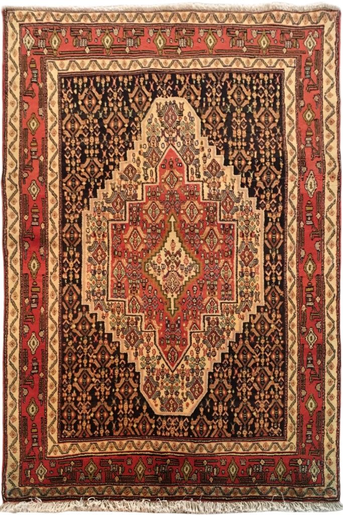 4' x 5' Salmon Red Persian Hamadan Rug