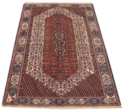 Luxurious 4x6 Authentic Hand-knotted Persian Hamadan Rug - Iran - bestrugplace