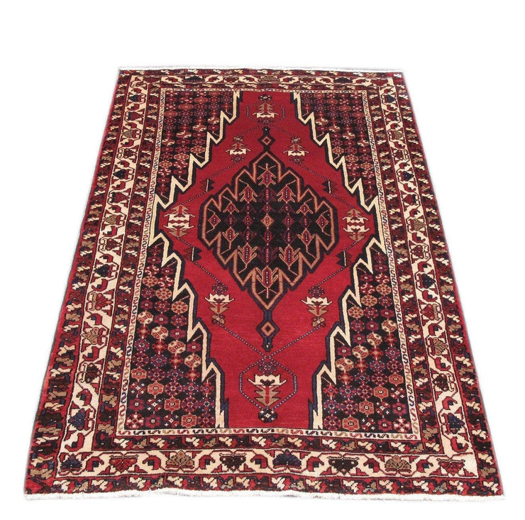 Luxurious 4x7 Authentic Hand-knotted Persian Hamadan Rug - Iran - bestrugplace