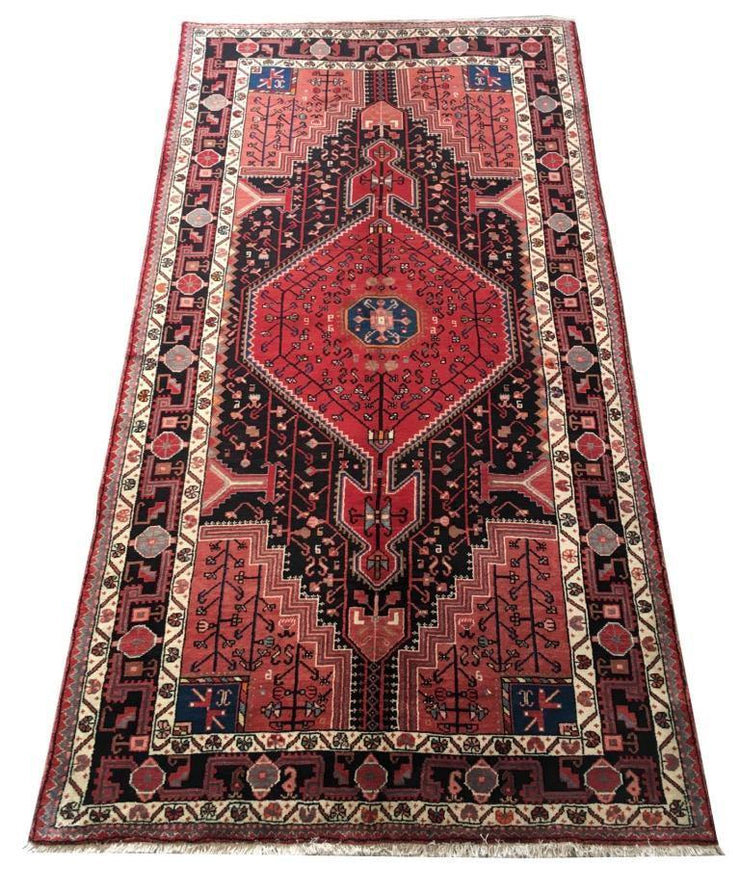 5x9 Authentic Hand-knotted Persian Hamadan Rug - Iran - bestrugplace