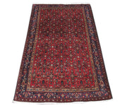 Luxurious 4x7 Authentic Hand-knotted Persian Hamadan Rug - Iran - bestrugplace