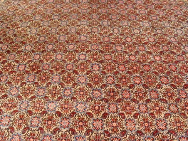 10x13 Authentic Hand-Knotted Paisley Bijar Rug - Iran - bestrugplace