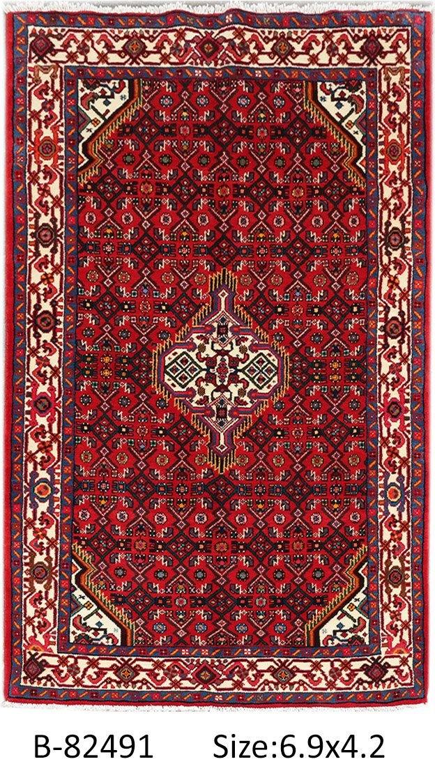 Luxurious 4x7 Authentic Hand-knotted Persian Hamadan Rug - Iran - bestrugplace