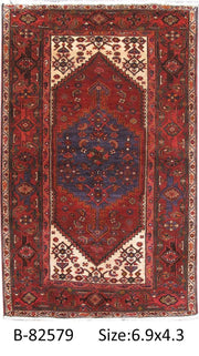 Luxurious 4x7 Authentic Hand-knotted Persian Hamadan Rug - Iran - bestrugplace