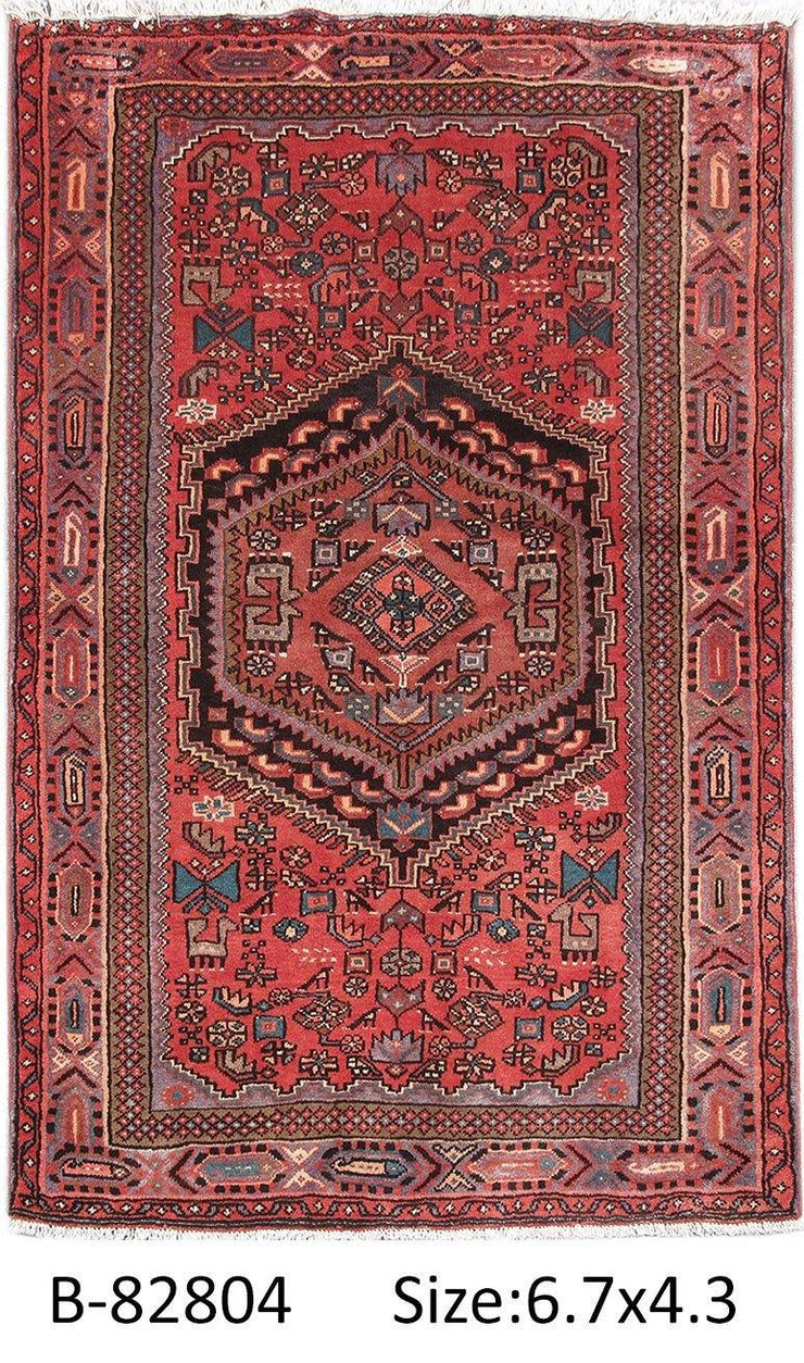 Luxurious 4x7 Authentic Hand-knotted Persian Hamadan Rug - Iran - bestrugplace