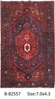 Luxurious 4x7 Authentic Hand-knotted Persian Hamadan Rug - Iran - bestrugplace