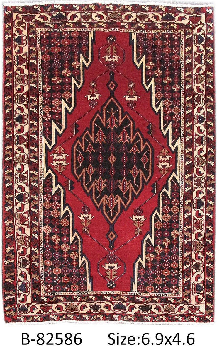 Luxurious 4x7 Authentic Hand-knotted Persian Hamadan Rug - Iran - bestrugplace