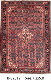 Luxurious 5x7 Authentic Hand-knotted Persian Hamadan Rug - Iran - bestrugplace