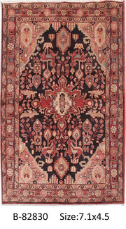 Luxurious 4x7 Authentic Hand-knotted Persian Hamadan Rug - Iran - bestrugplace