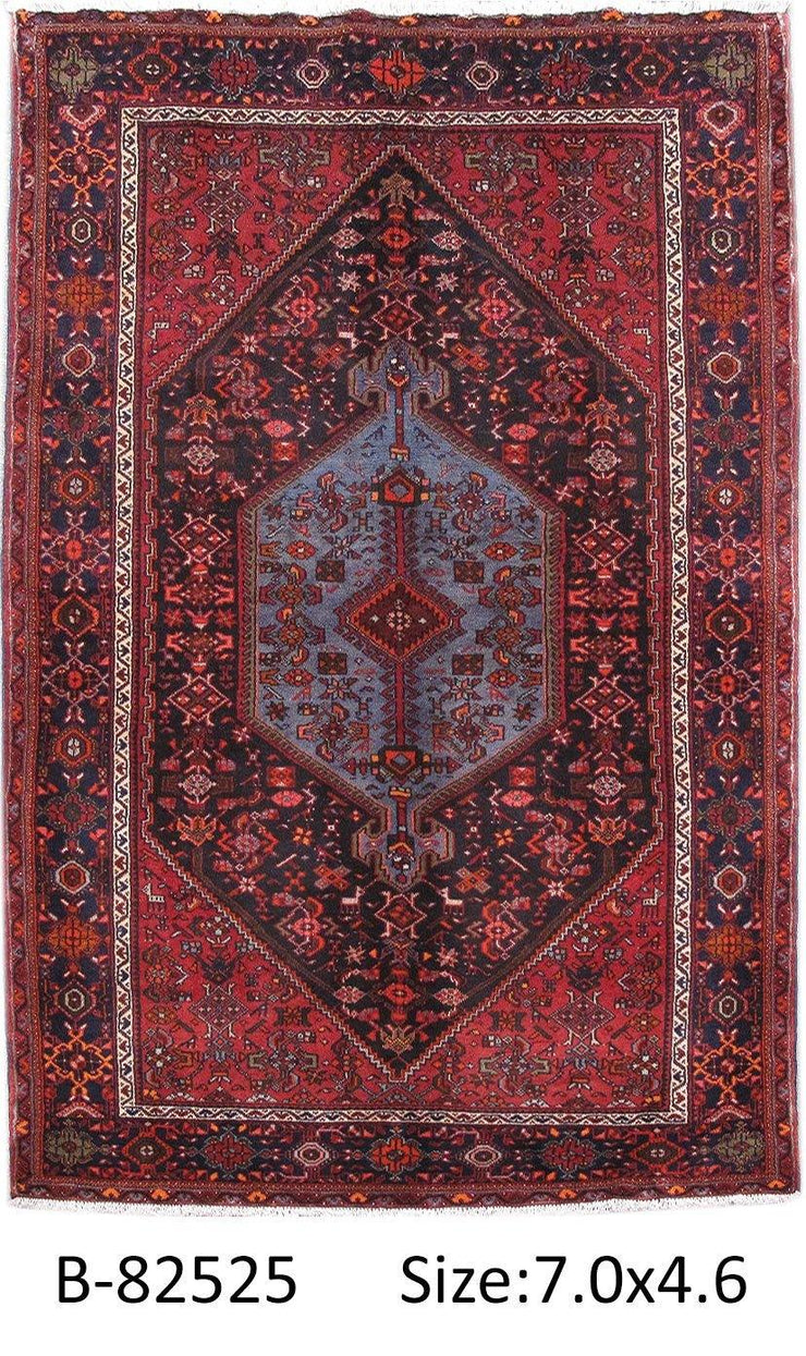 Luxurious 5x7 Authentic Hand-knotted Persian Hamadan Rug - Iran - bestrugplace