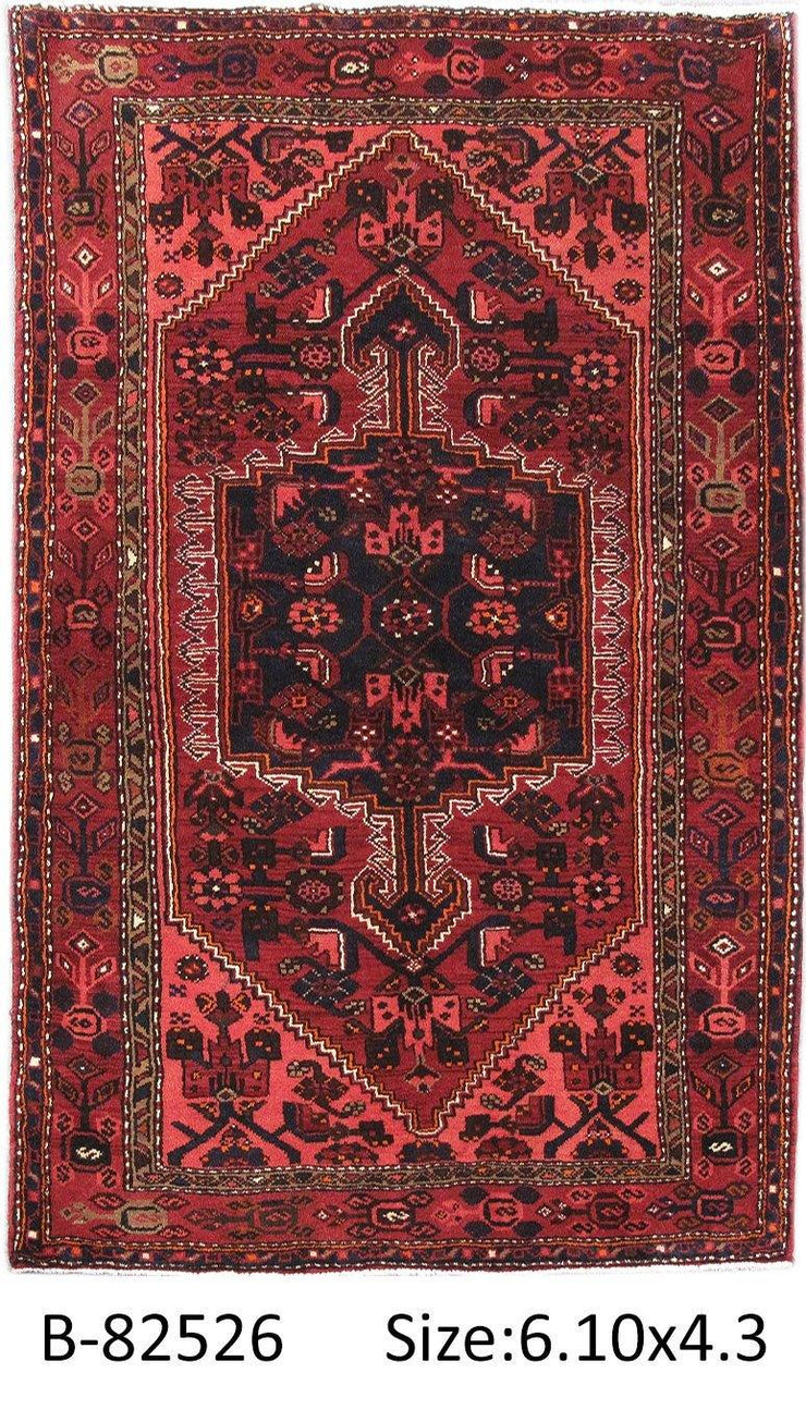 Luxurious 4x7 Authentic Hand-knotted Persian Hamadan Rug - Iran - bestrugplace