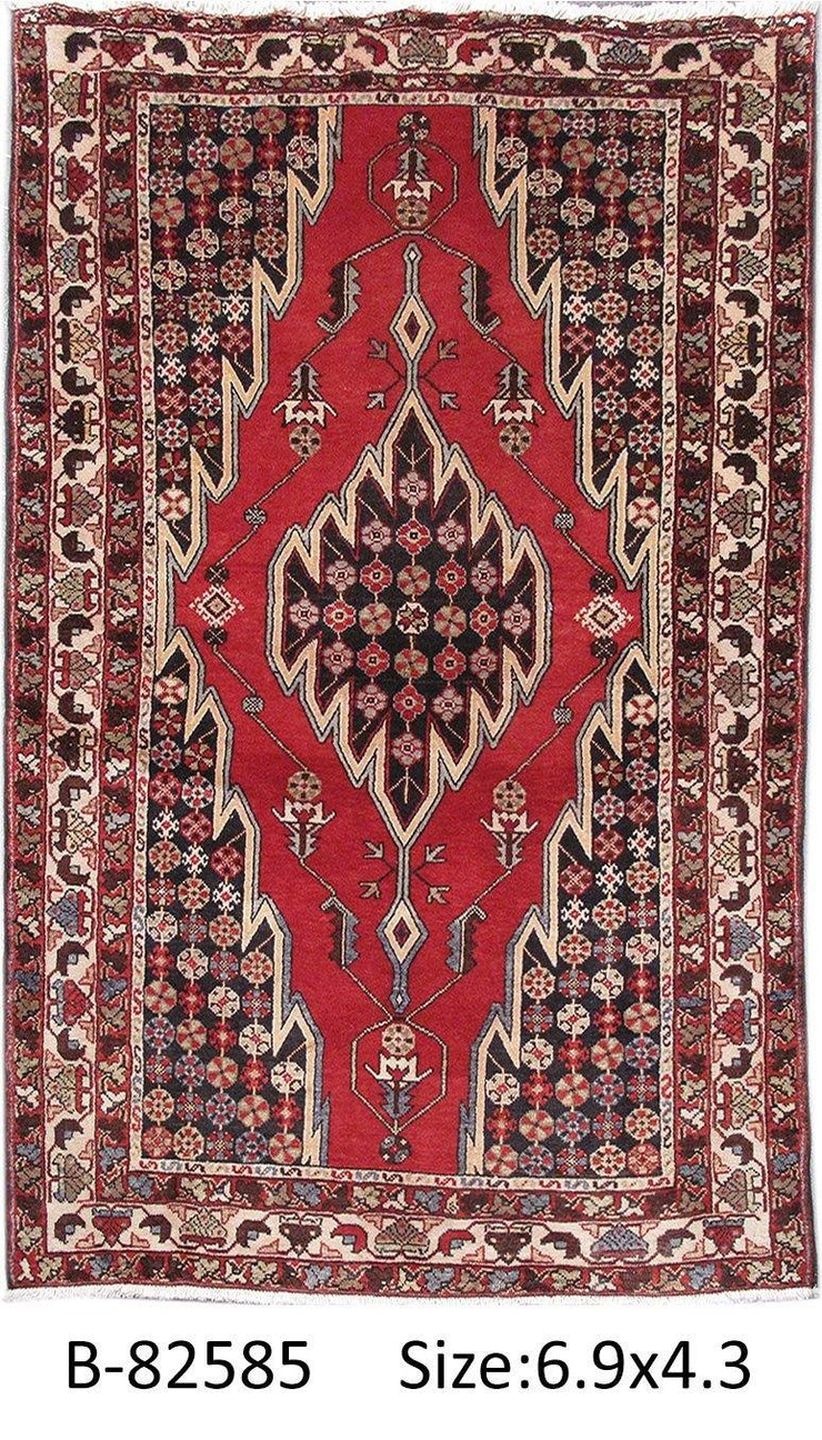 Luxurious 4x7 Authentic Hand-knotted Persian Hamadan Rug - Iran - bestrugplace