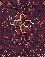 4x7 Authentic Hand Knotted Persian Hamadan Rug - Iran - bestrugplace