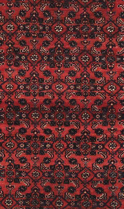 Luxurious 5x7 Authentic Hand-knotted Persian Hamadan Rug - Iran - bestrugplace