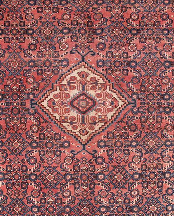 Luxurious 5x7 Authentic Hand-knotted Persian Hamadan Rug - Iran - bestrugplace