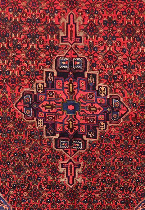 Luxurious 5x9 Authentic Hand-knotted Persian Hamadan Rug - Iran - bestrugplace