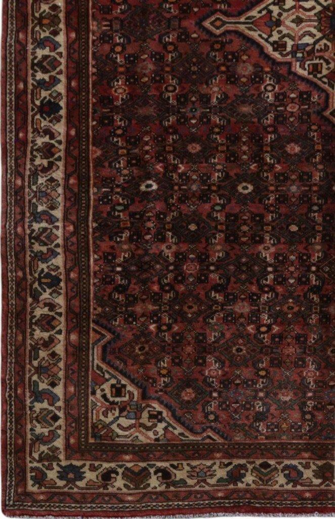 7x10 Authentic Hand-knotted Persian Hamadan Rug - Iran - bestrugplace