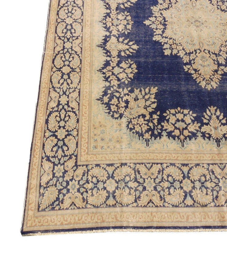 Radiant 10x13 Authentic Hand-knotted Rug - Pakistan - bestrugplace