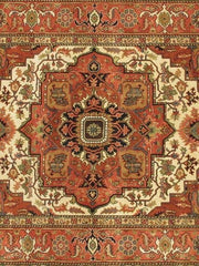 9x12 Serapi Rug - India - bestrugplace