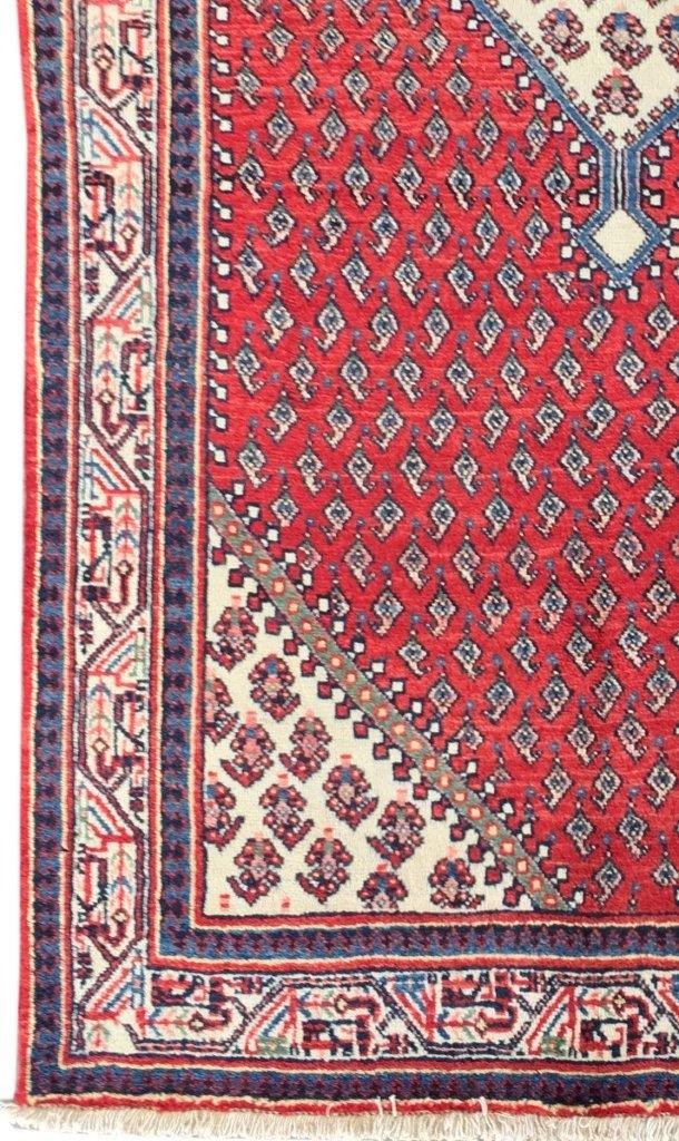 4x7 Authentic Hand-knotted Persian Hamadan Rug - Iran - bestrugplace