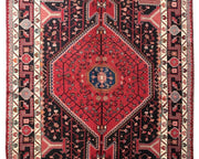 5x9 Authentic Hand-knotted Persian Hamadan Rug - Iran - bestrugplace