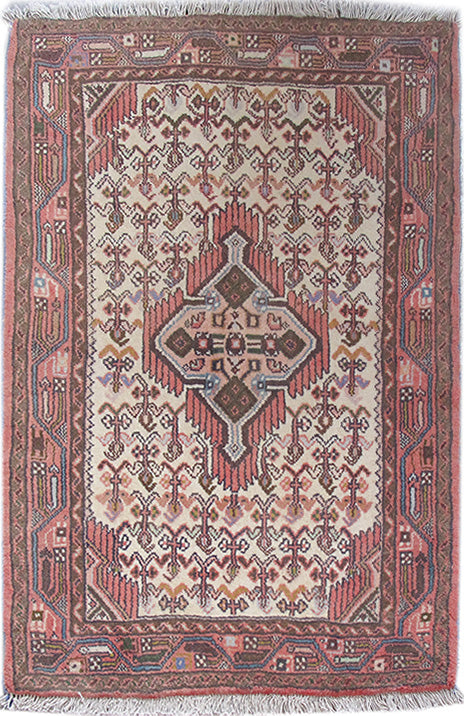 3' x 4' Ivory Persian Hamadan Rug